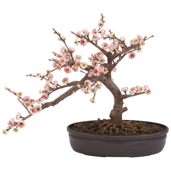 Cherry Blossom Bonsai Silk Tree - Lacasademartha