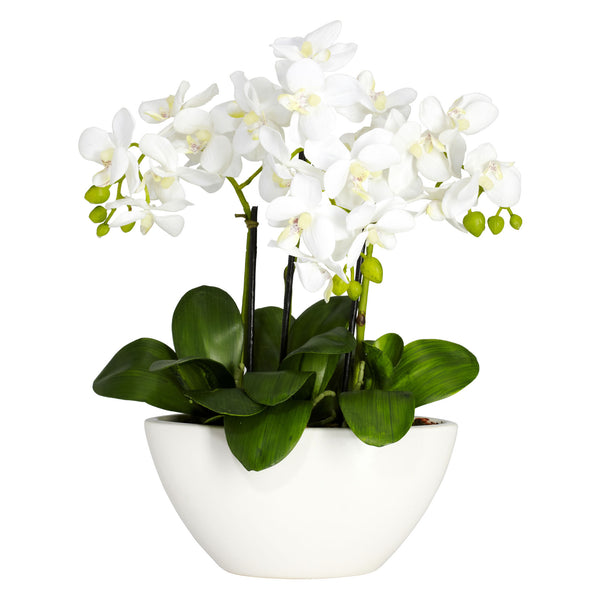 Phalaenopsis Silk Flower Arrangement - Lacasademartha