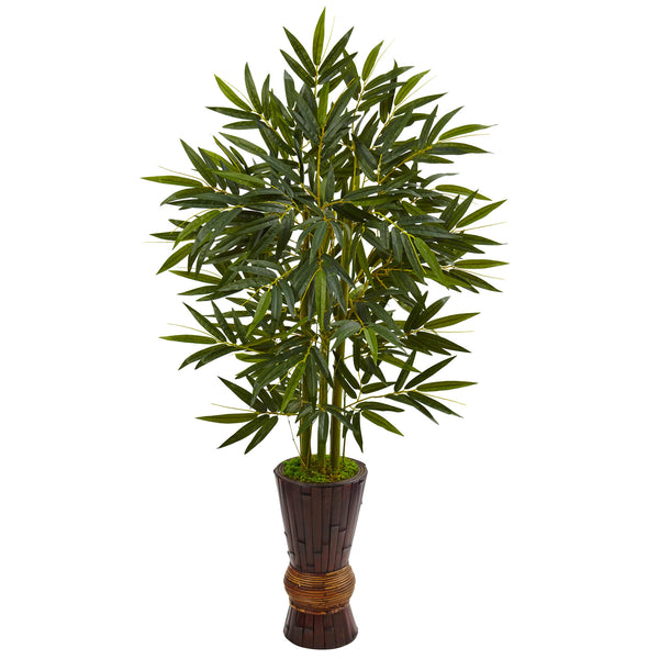 5’ Bamboo Tree In Bamboo Planter