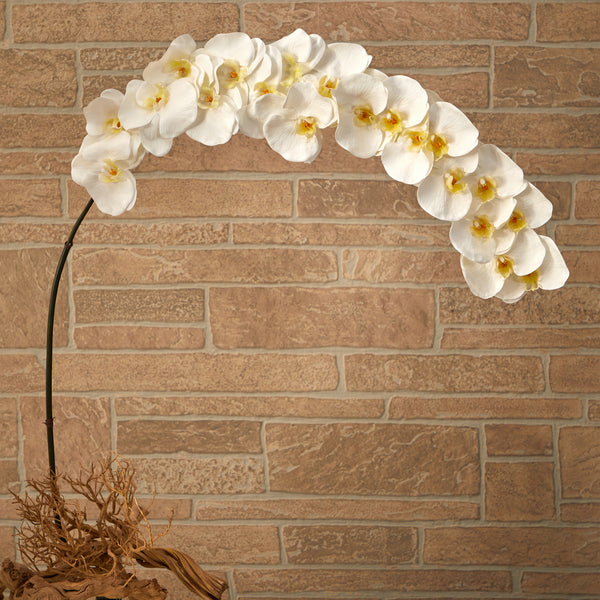 5’ Large Phalaenopsis Orchid Artificial Flower (Set Of 2)