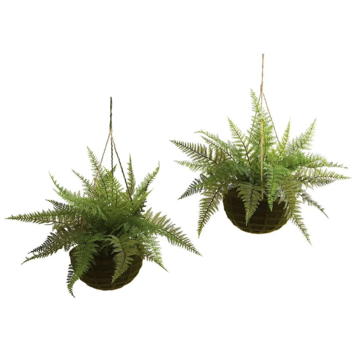 13" Leather Fern Hanging Basket w/ Moss - Set of 2 - Lacasademartha 