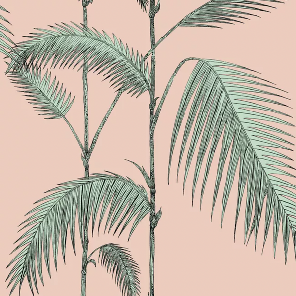 Palm Leaves - Lacasademartha