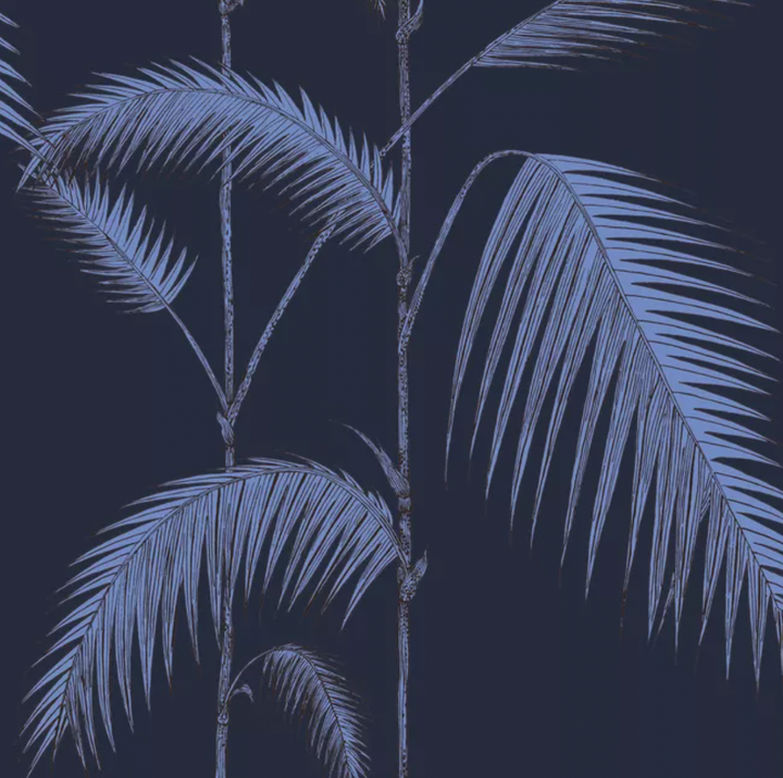 Palm Leaves - Lacasademartha