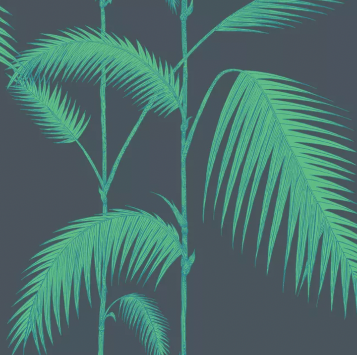 Palm Leaves - Lacasademartha